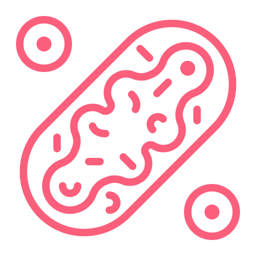 Enhance Mitochondrial Function