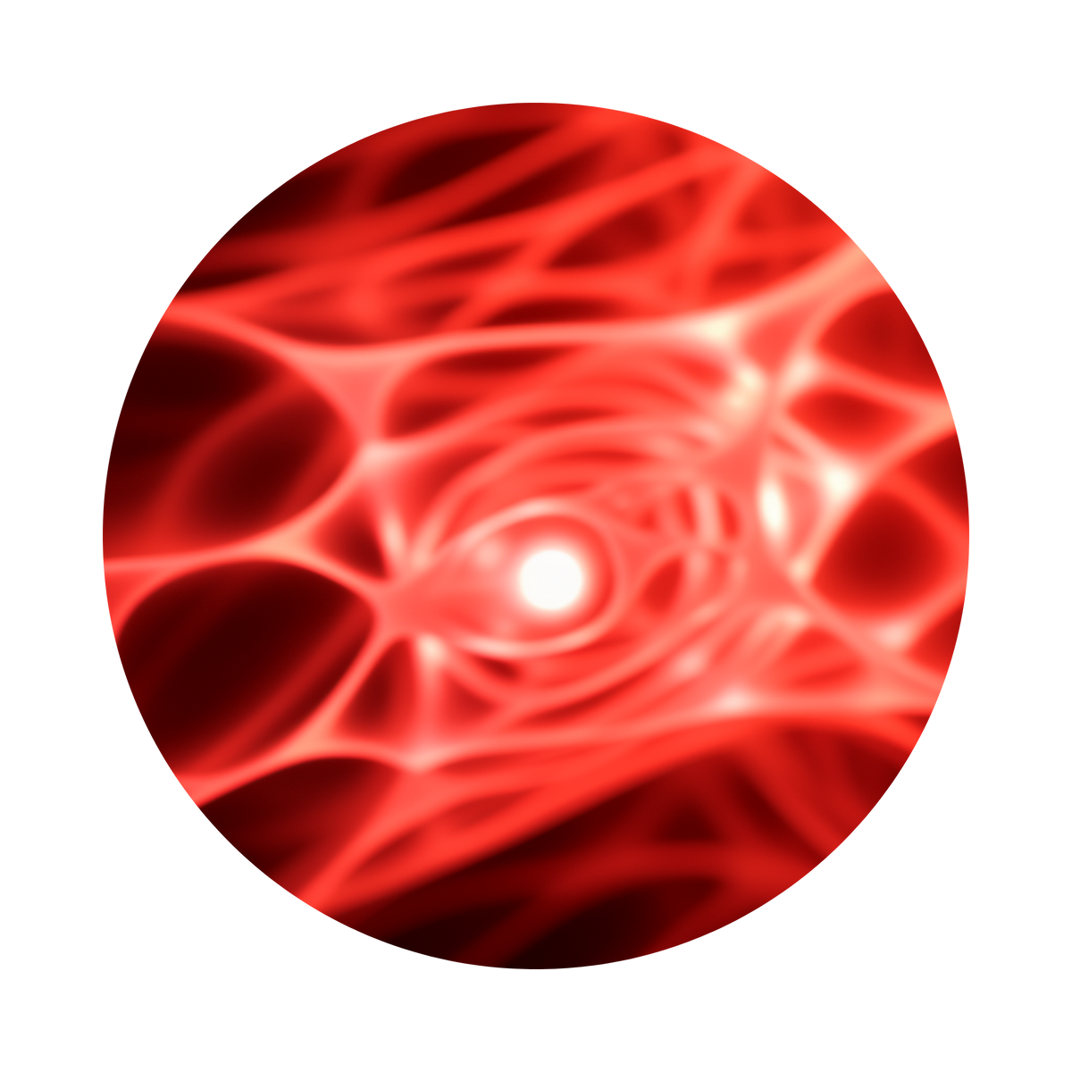 light increases cellular energy