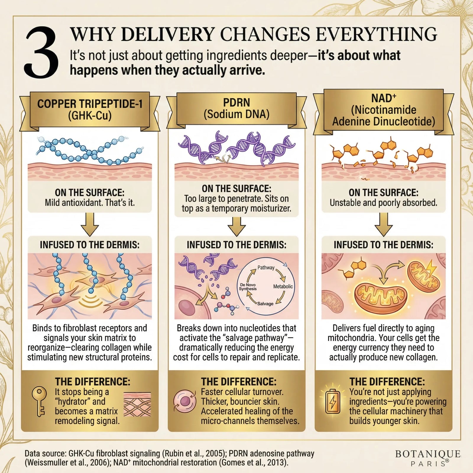 Infographic 3 of 4: what happens beneath the skin during micro-infusion