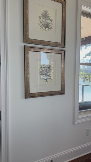 Botanique paris reviews